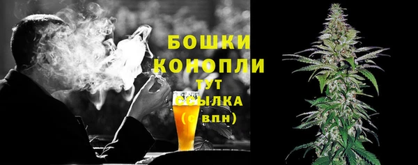 гашик Белоозёрский