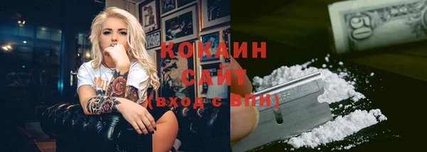 гашик Белоозёрский