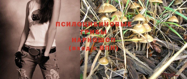 гашик Белоозёрский