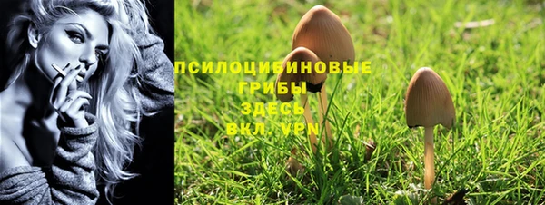 стаф Баксан