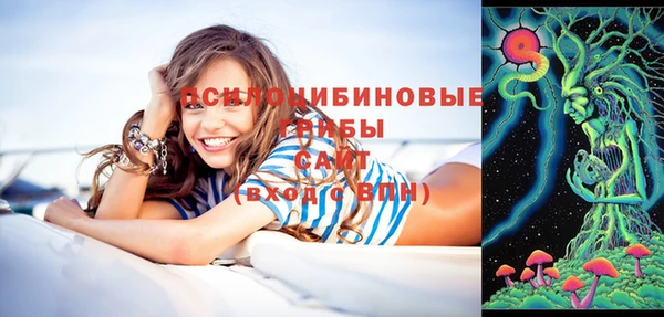 гашик Белоозёрский