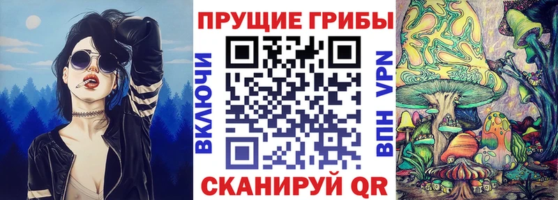 нарко площадка какой сайт  Калининец  Галлюциногенные грибы Cubensis 